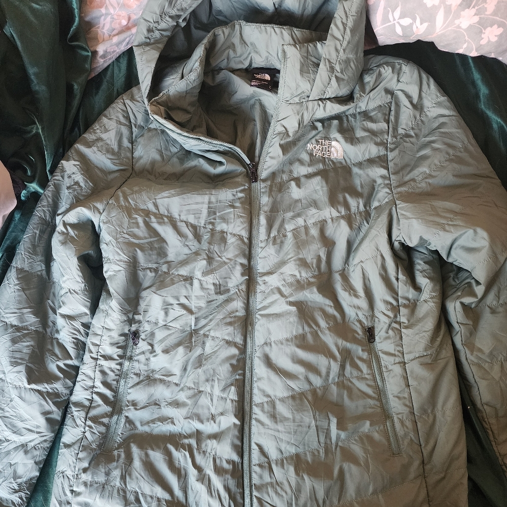 The north face jacket